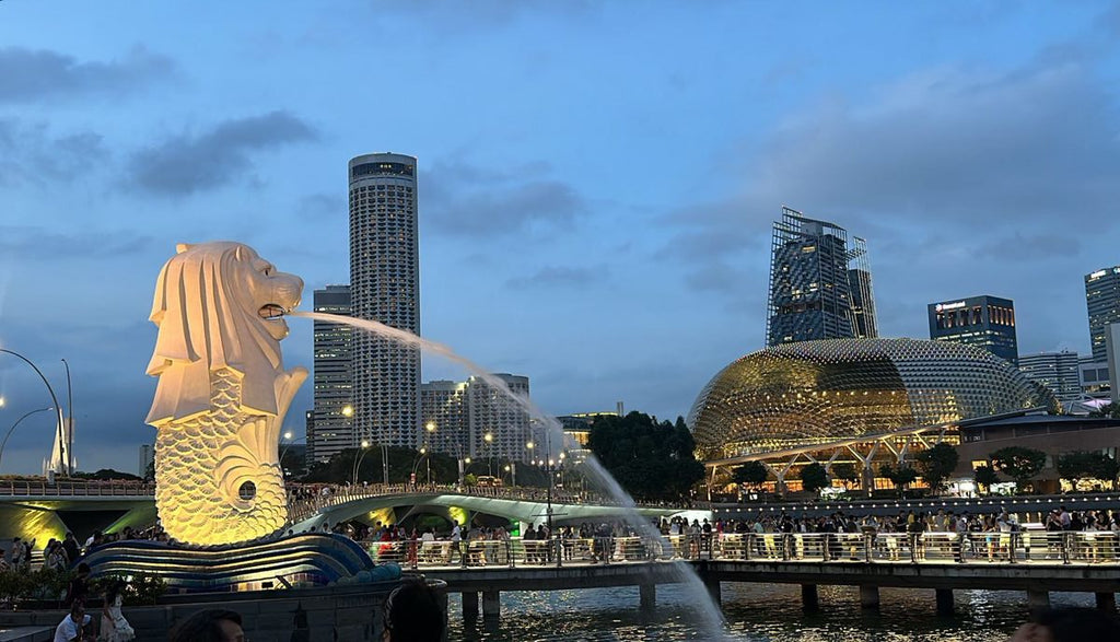 Singapore All-Inclusive Escape (5 Nights / 6 Days)