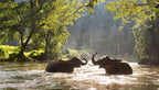 Thailand All-Inclusive Escape (5 Nights / 6 Days)
