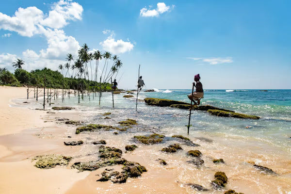 Sri Lanka All-Inclusive Escape (5 Nights / 6 Days)