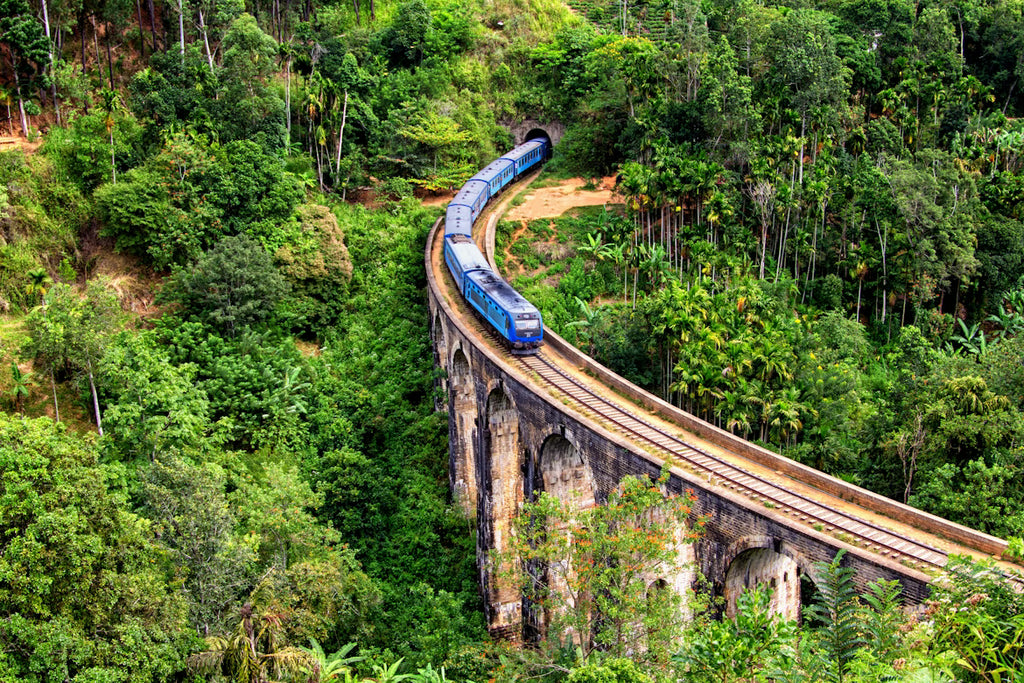 Sri Lanka All-Inclusive Escape (5 Nights / 6 Days)